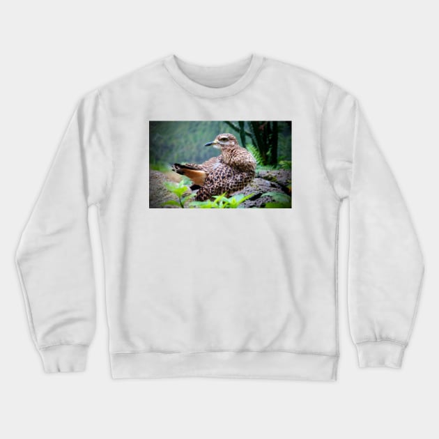 Spotted Dikkop Crewneck Sweatshirt by Cynthia48